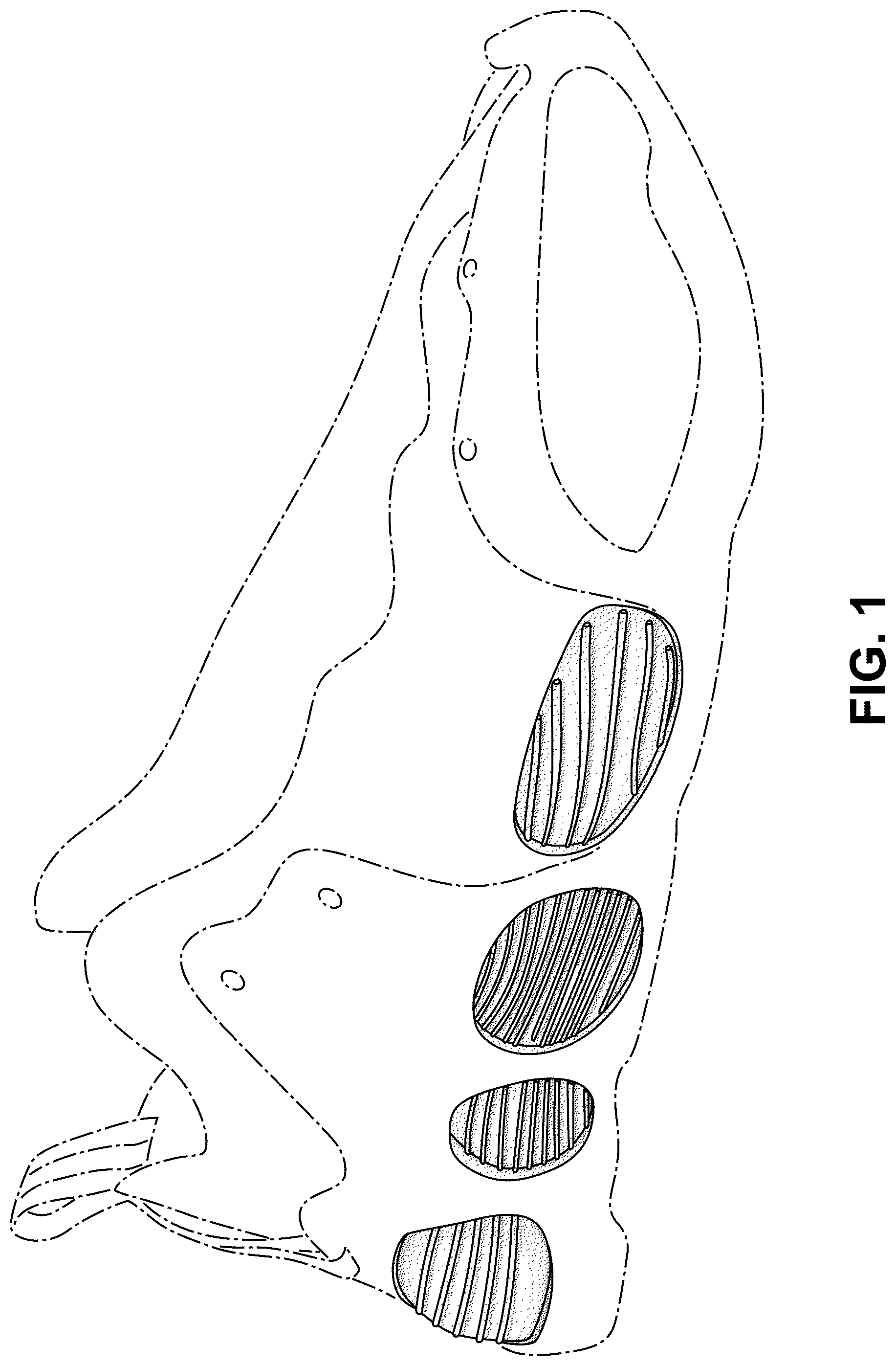 Patent USD1077433 Figure 1 – Shoe