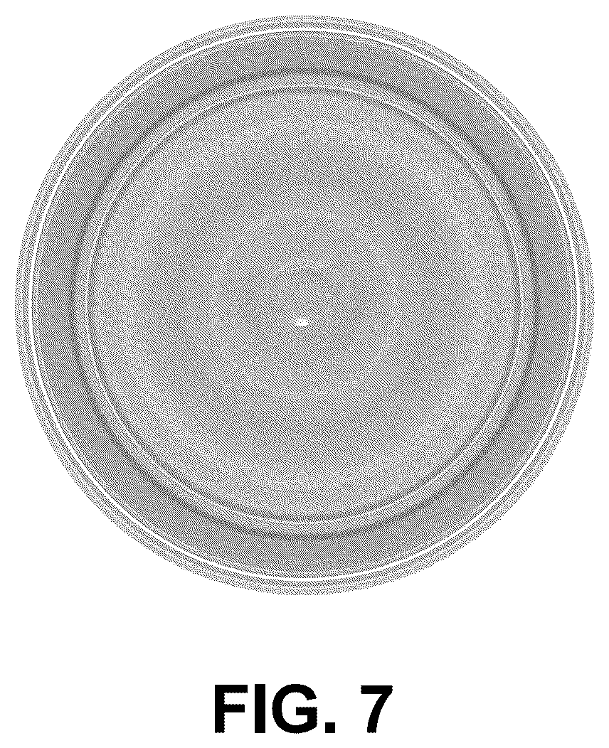 Patent USD1077634 Figure 7 – Container for food packing