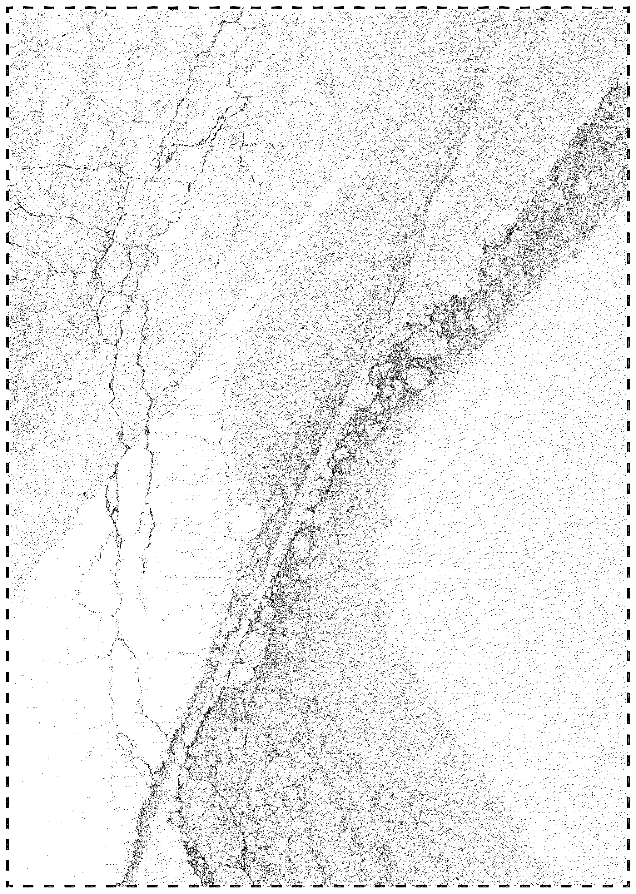 Patent USD1079064 Figure 1 – Slab comprising particulate mineral mixture