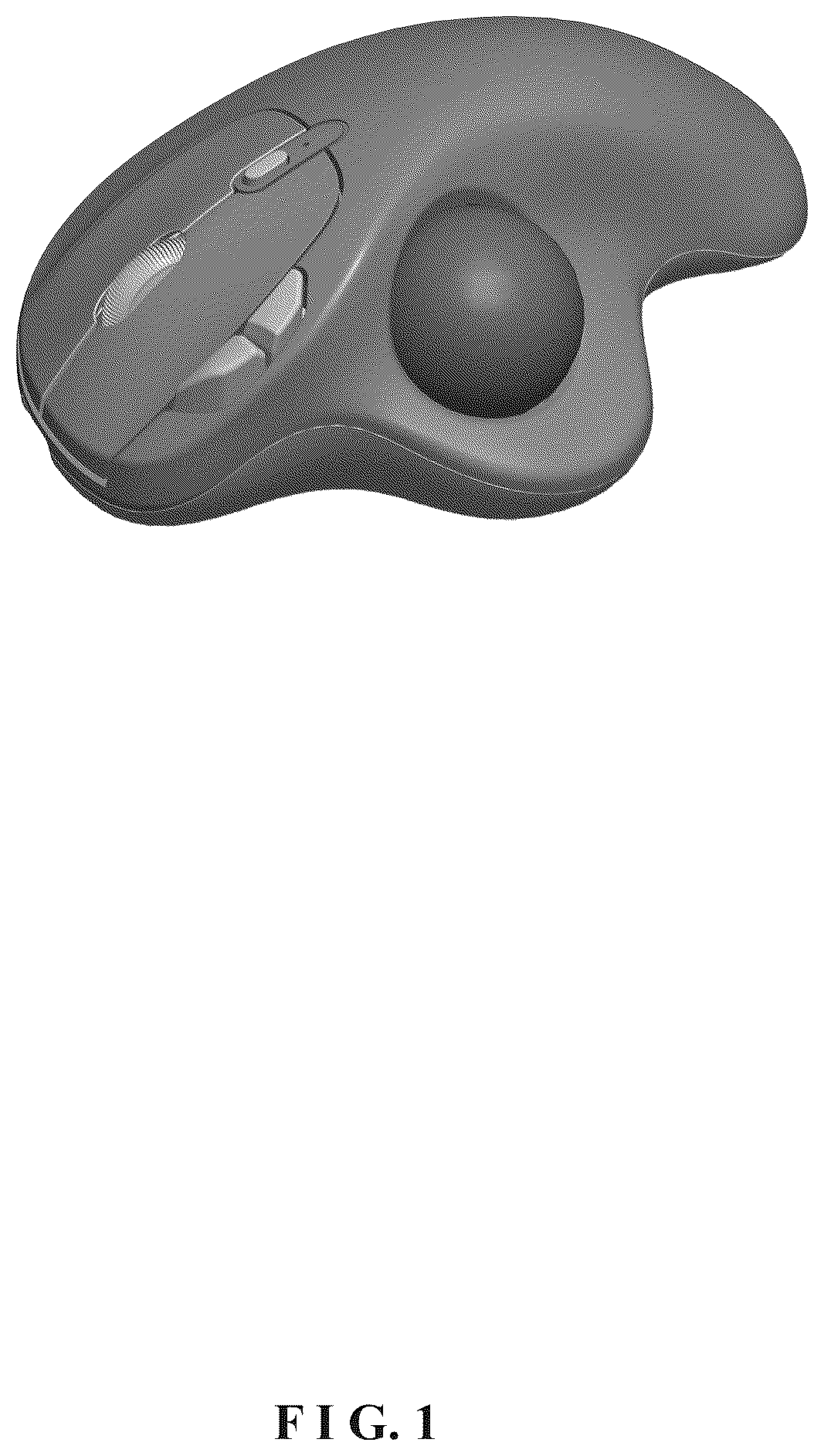 Patent USD1100907 — Computer mouse — Figure 1
