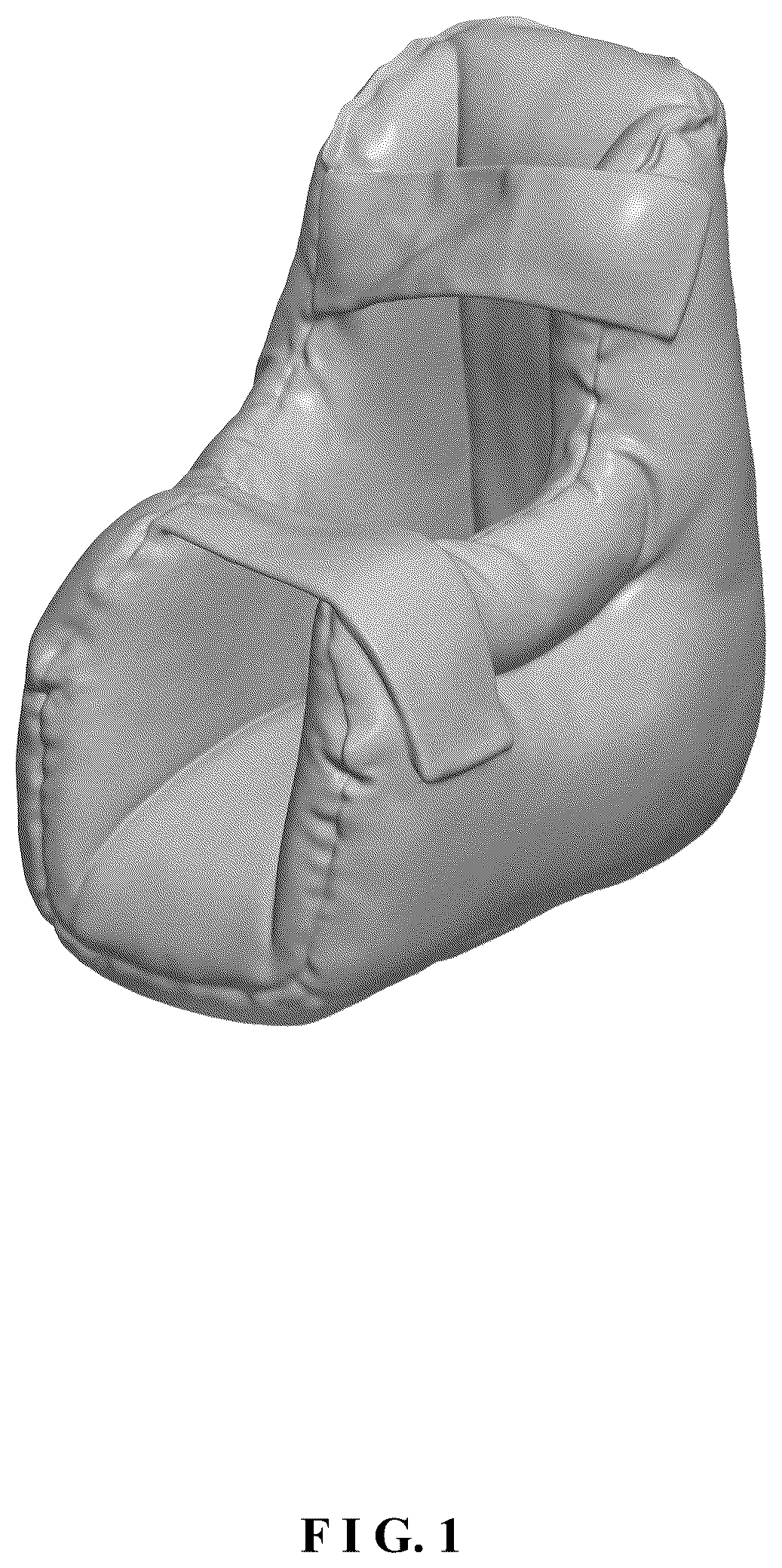 Patent USD1101290 Figure 1 – Heel cushion protector