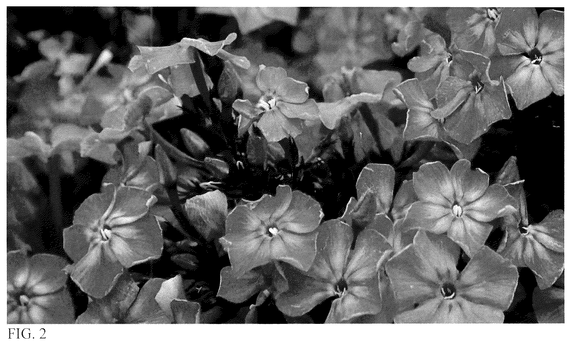 Patent USPP036677 Figure 2 – Phlox plant named ‘Pink Lightning’