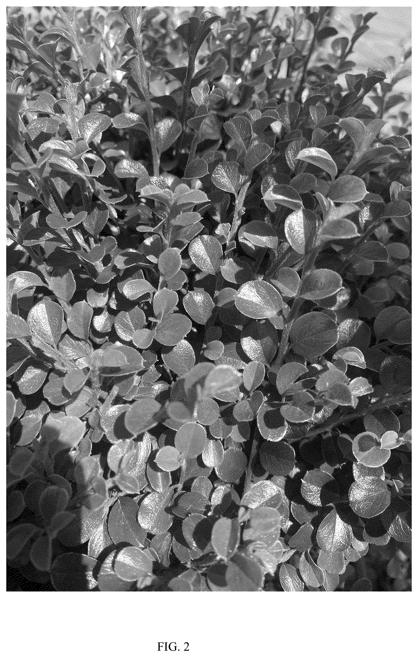 Patent USPP036690 Figure 2 – Cotoneaster plant named ‘MONSHGUS’