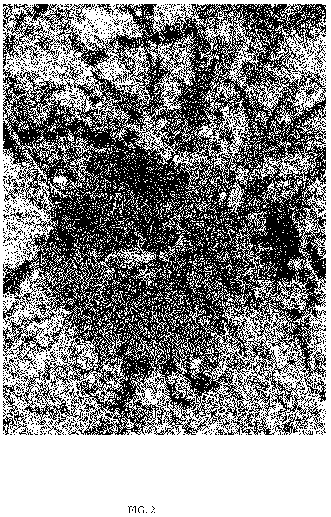 Patent USPP036696 Figure 2 – Dianthus plant named ‘G22089’