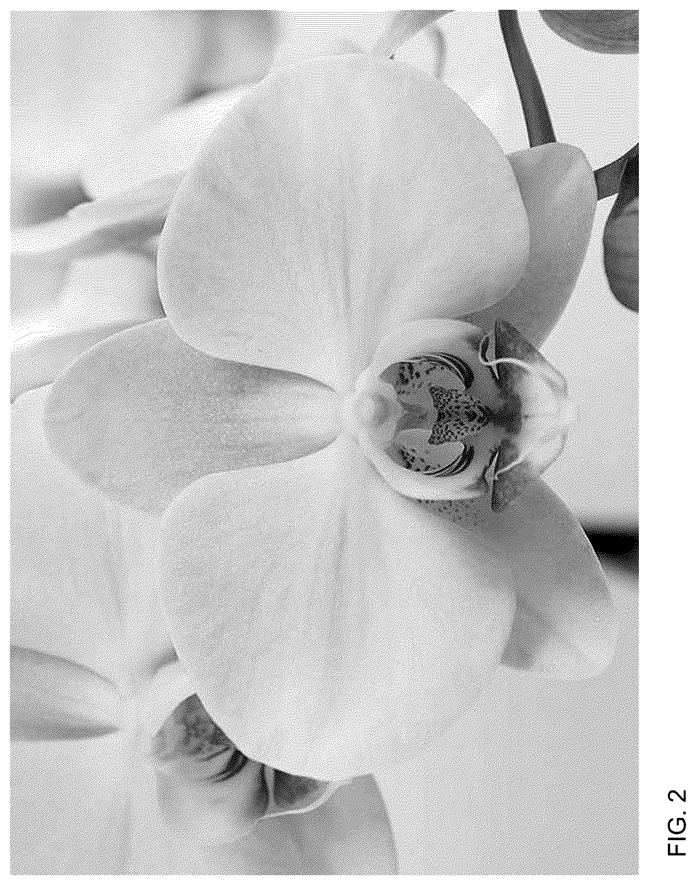Patent USPP036697 Figure 2 – Phalaenopsis plant named ‘MI02815’
