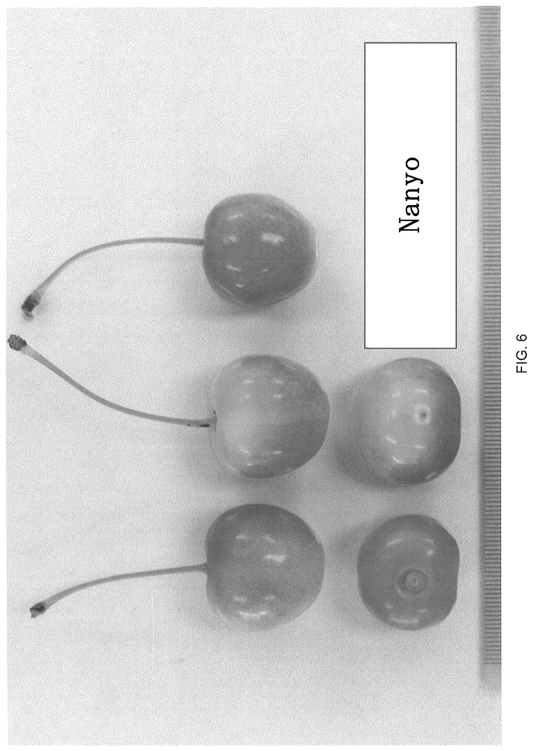 Patent USPP036706 Figure 6 – Cherry tree named ‘Himari’