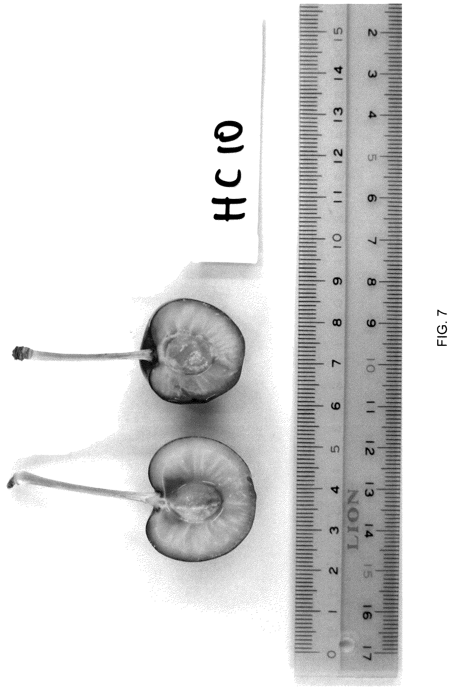 Patent USPP036706 Figure 7 – Cherry tree named ‘Himari’