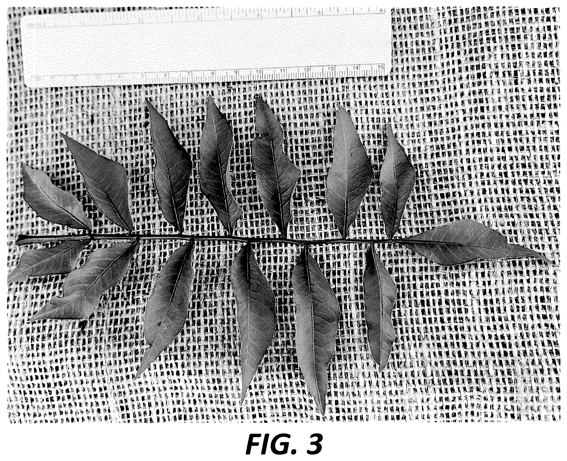 Patent USPP036714 Figure 3 – Pistachio hybrid rootstock named ‘19PaPi-SY’