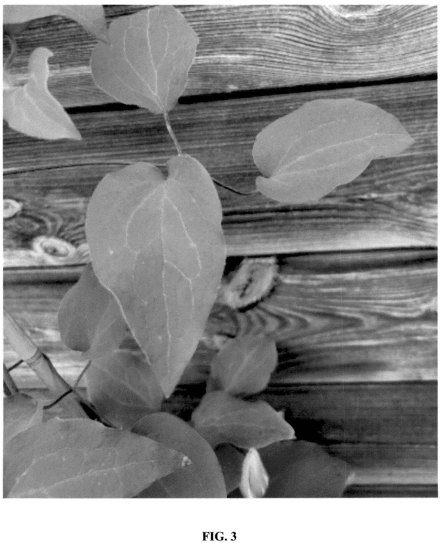 Patent USPP036717 Figure 3 – Clematis plant named ‘EviGsy152’