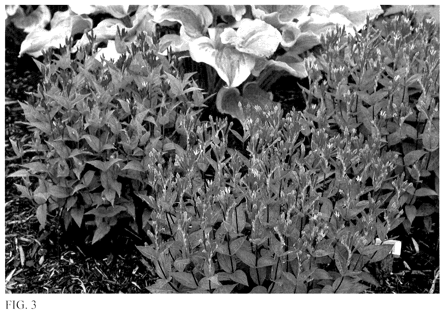 Patent USPP036721 Figure 3 – Spigelia plant named ‘Orange Slices’