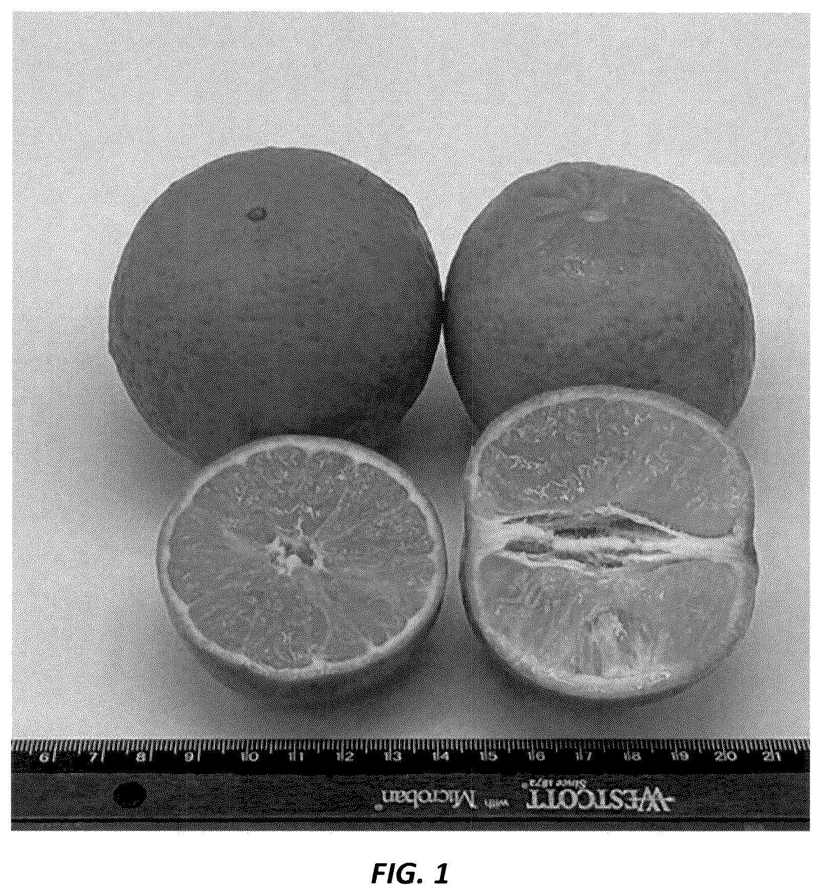 Patent USPP036728 Figure 1 – Mandarin plant named ‘N40W-5-1’