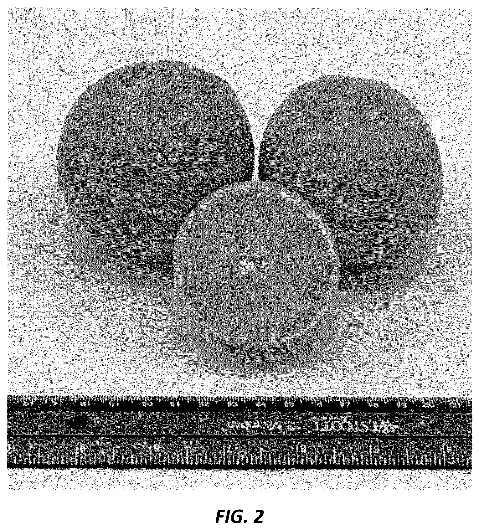 Patent USPP036728 Figure 2 – Mandarin plant named ‘N40W-5-1’