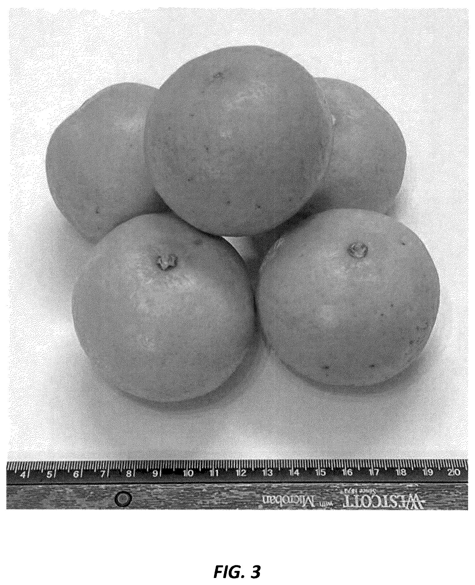 Patent USPP036728 Figure 3 – Mandarin plant named ‘N40W-5-1’