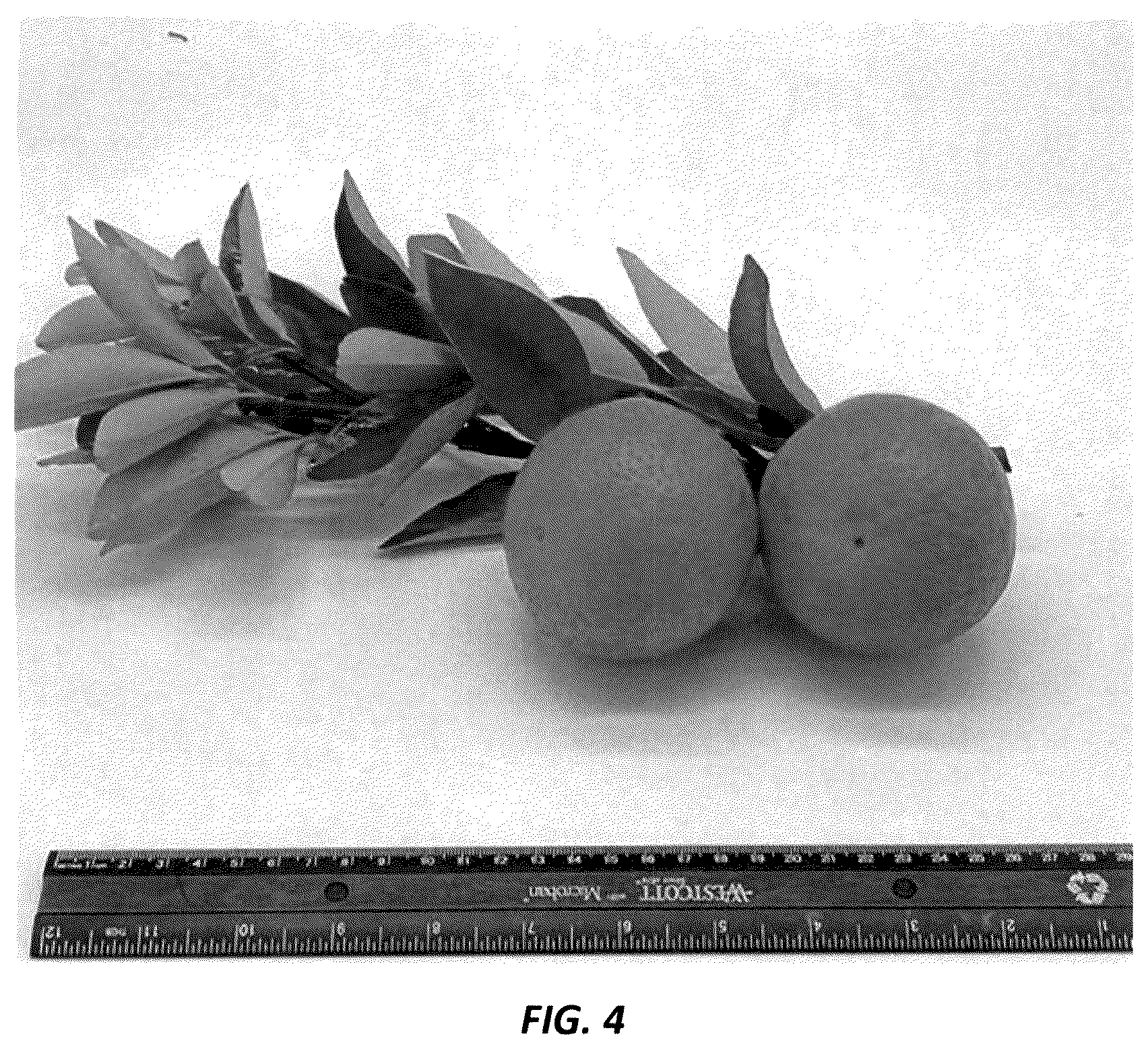 Patent USPP036728 Figure 4 – Mandarin plant named ‘N40W-5-1’