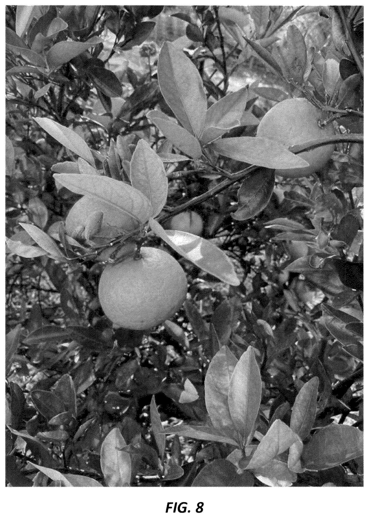 Patent USPP036728 Figure 7 – Mandarin plant named ‘N40W-5-1’