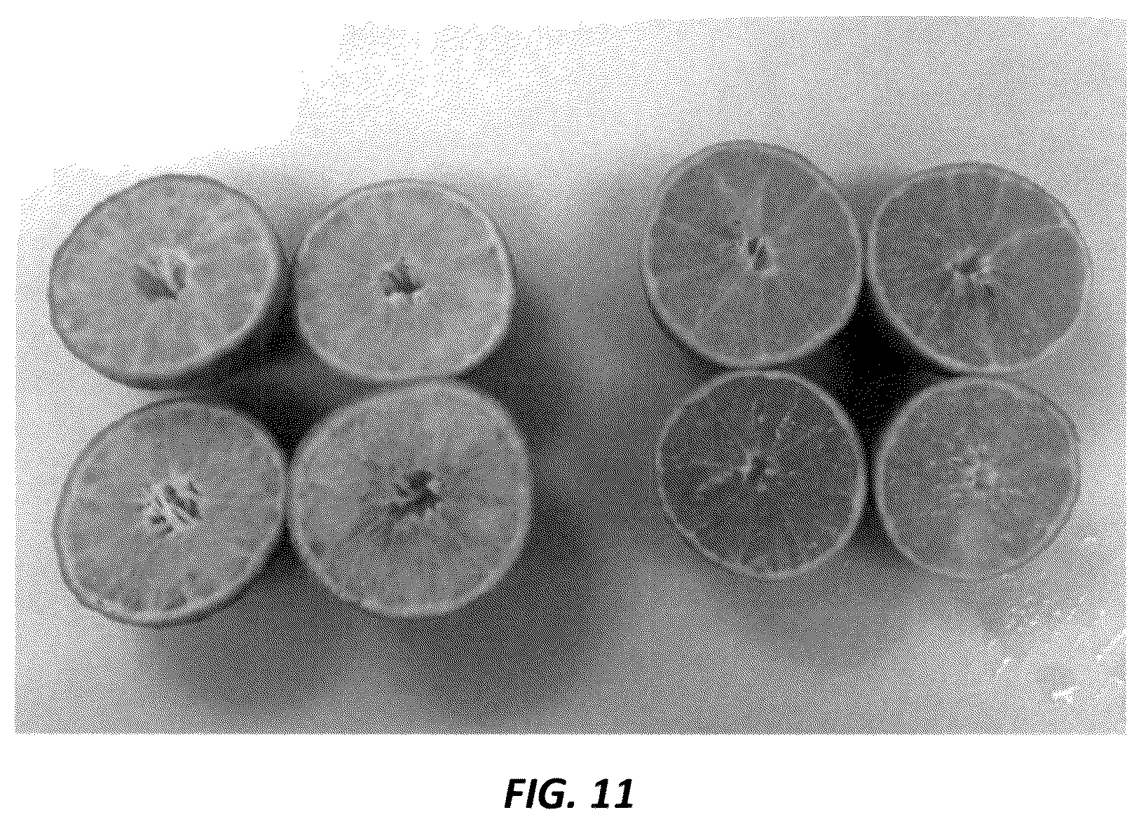 Patent USPP036728 Figure 10 – Mandarin plant named ‘N40W-5-1’