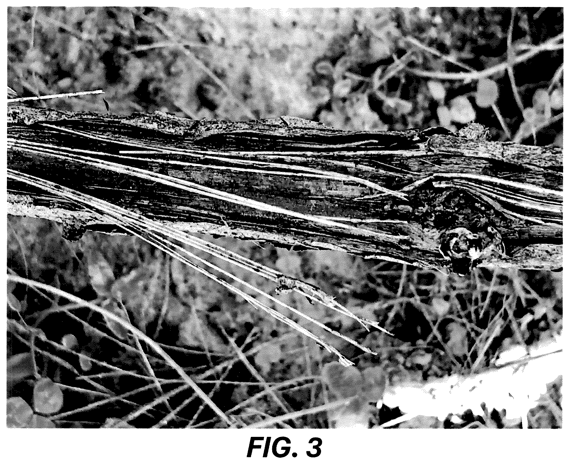 Patent USPP036729 Figure 3 – Grape plant named ‘Resilience’