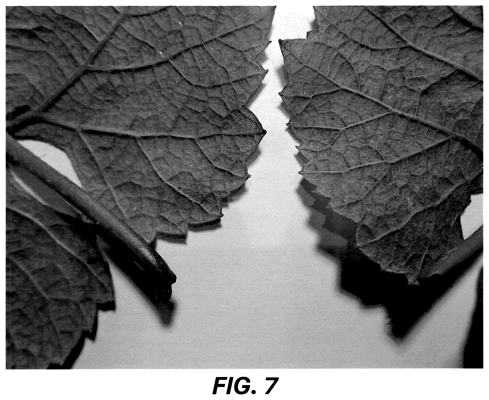 Patent USPP036729 Figure 7 – Grape plant named ‘Resilience’