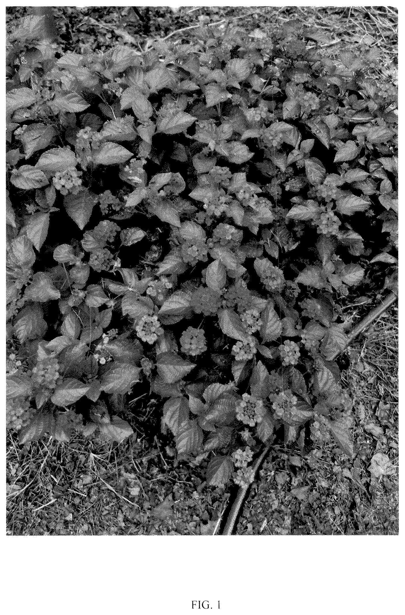 Patent USPP036733 Figure 1 – Lantana plant named ‘RHLC2019’