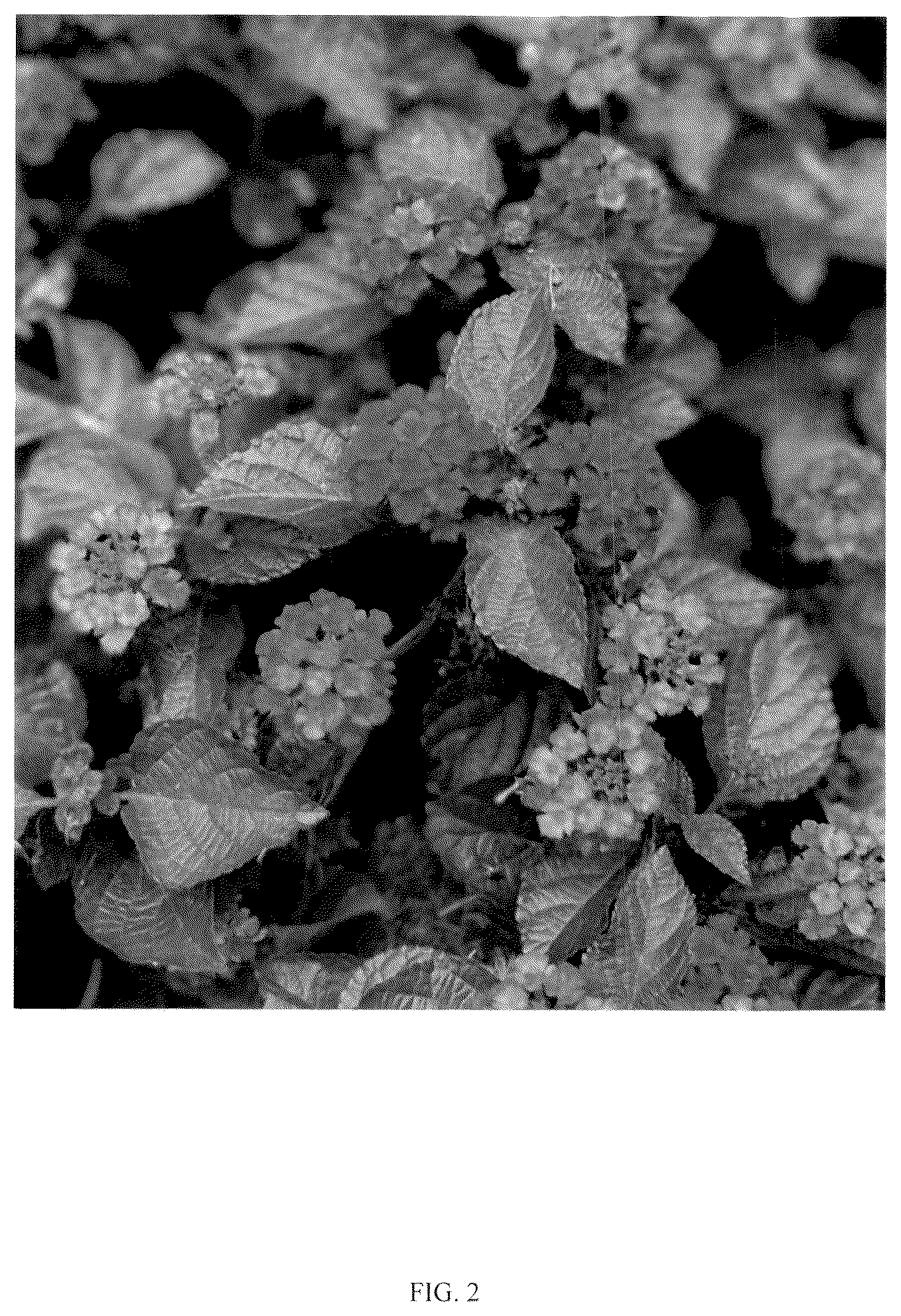 Patent USPP036733 Figure 2 – Lantana plant named ‘RHLC2019’
