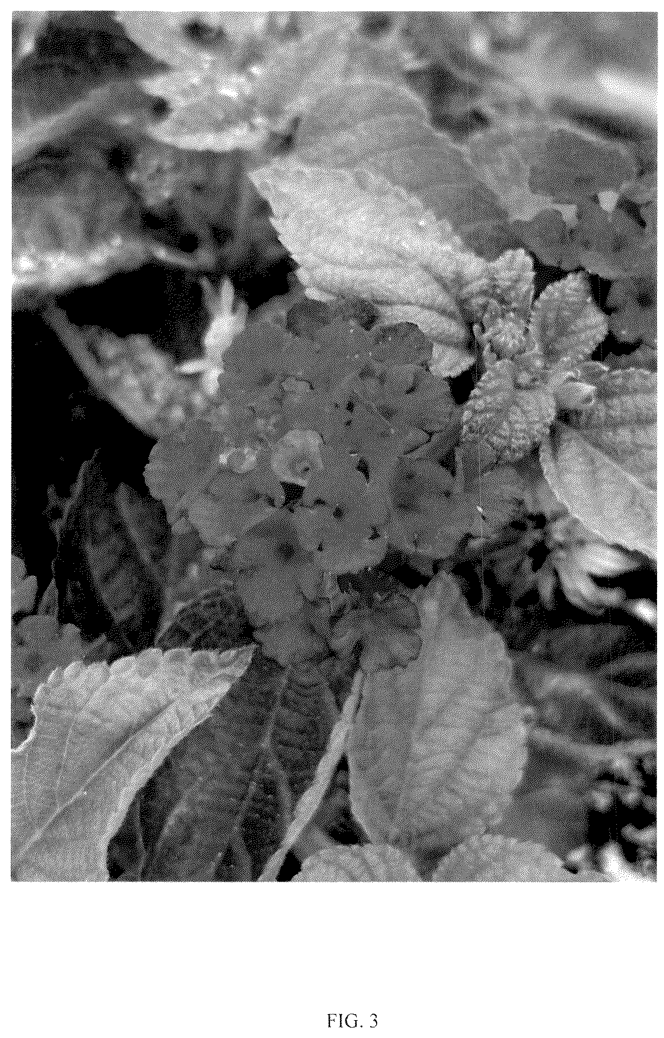 Patent USPP036733 Figure 3 – Lantana plant named ‘RHLC2019’