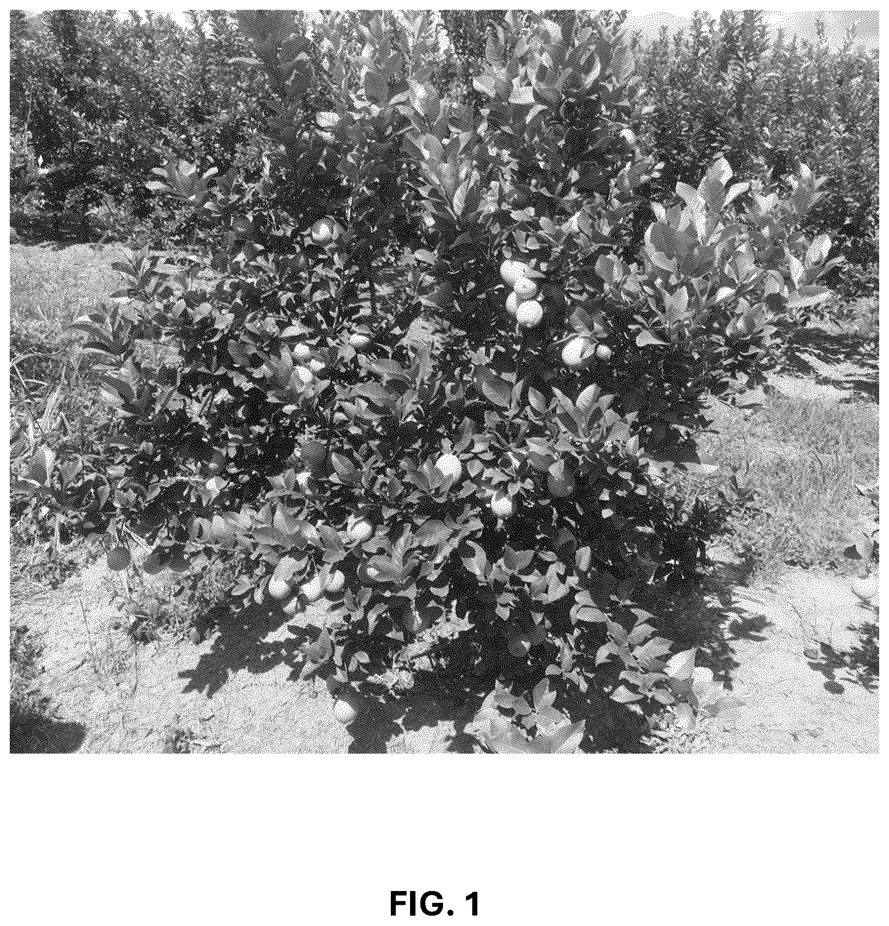 Patent USPP036742 Figure 1 – Lemon plant named ‘CE-D5-1-9-42’