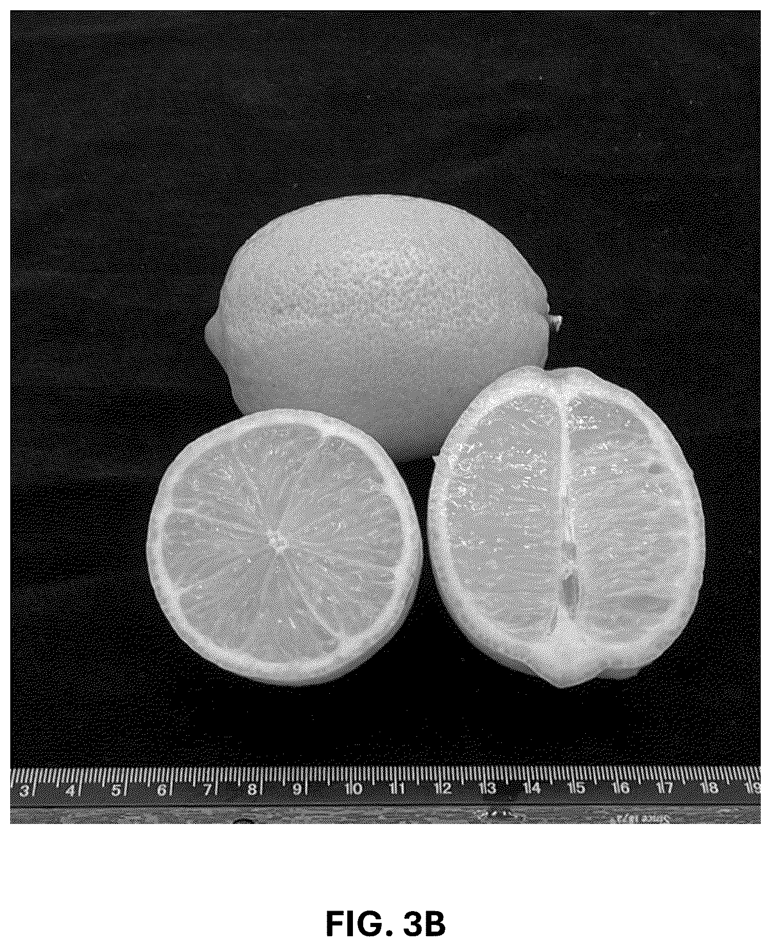 Patent USPP036742 Figure 6 – Lemon plant named ‘CE-D5-1-9-42’