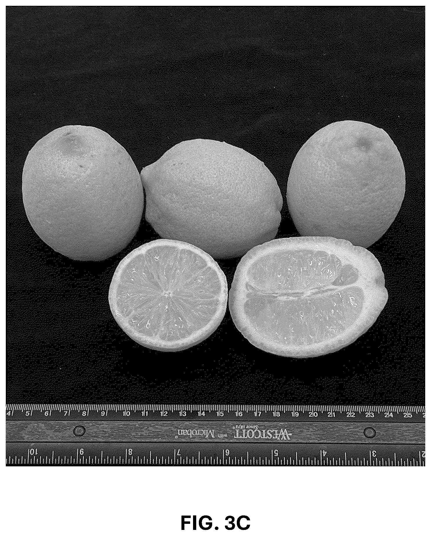Patent USPP036742 Figure 7 – Lemon plant named ‘CE-D5-1-9-42’