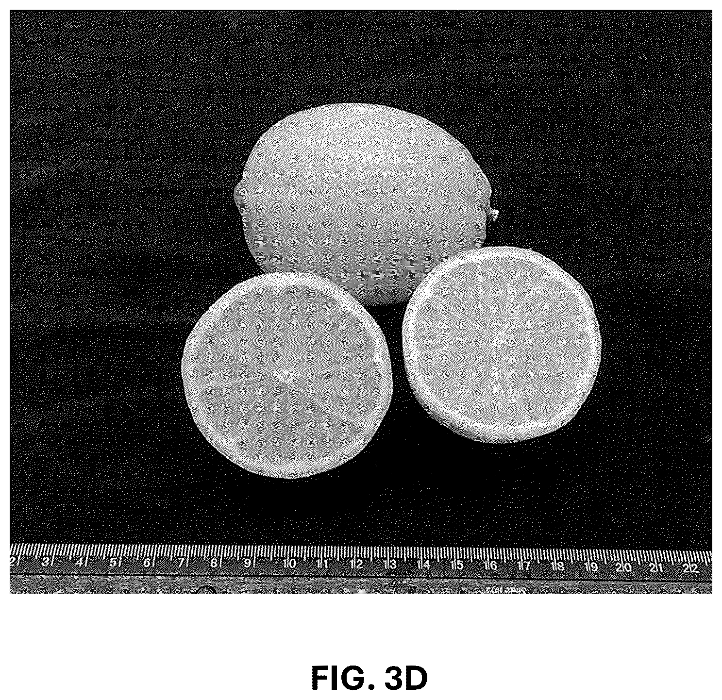 Patent USPP036742 Figure 8 – Lemon plant named ‘CE-D5-1-9-42’