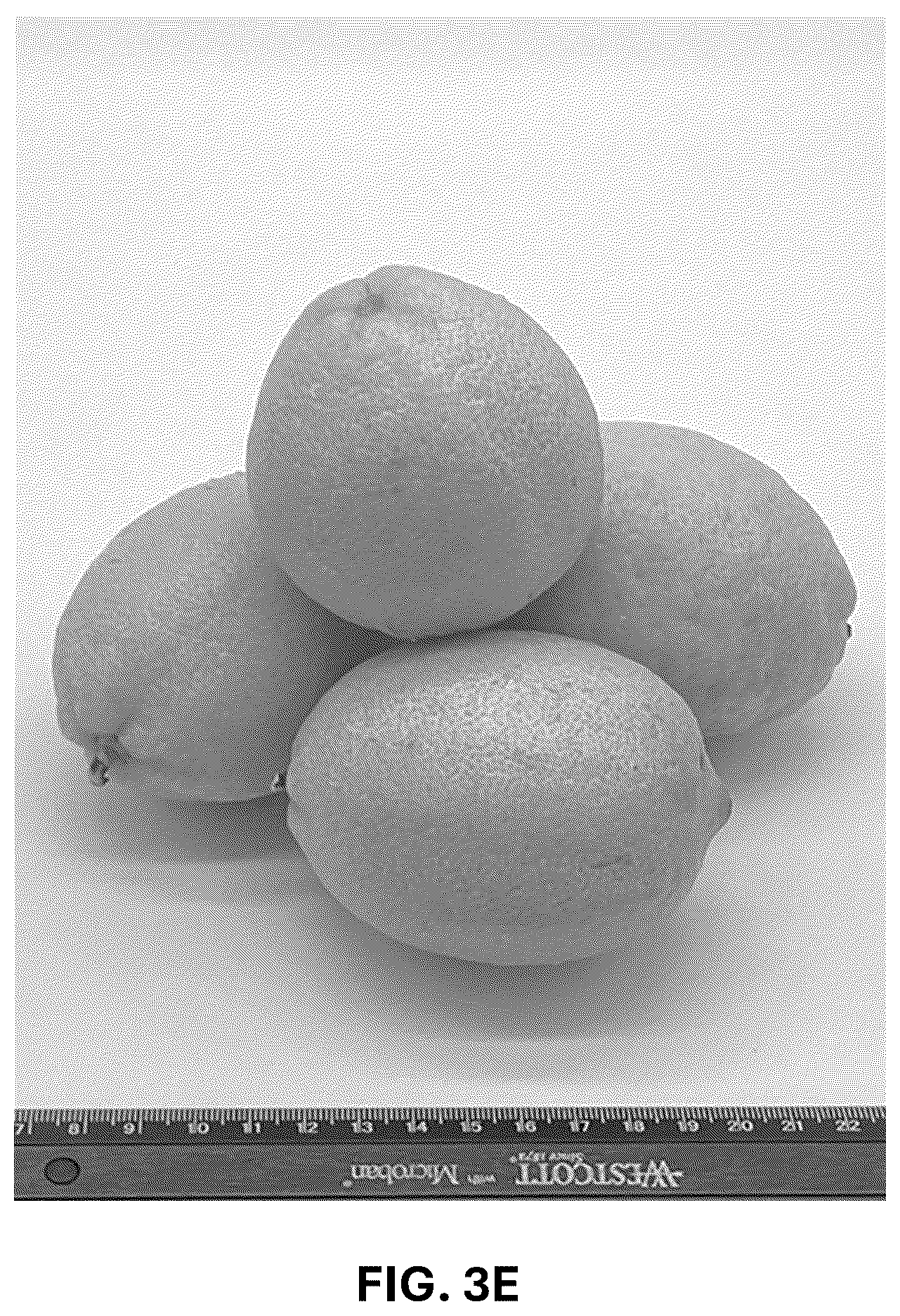 Patent USPP036742 Figure 9 – Lemon plant named ‘CE-D5-1-9-42’