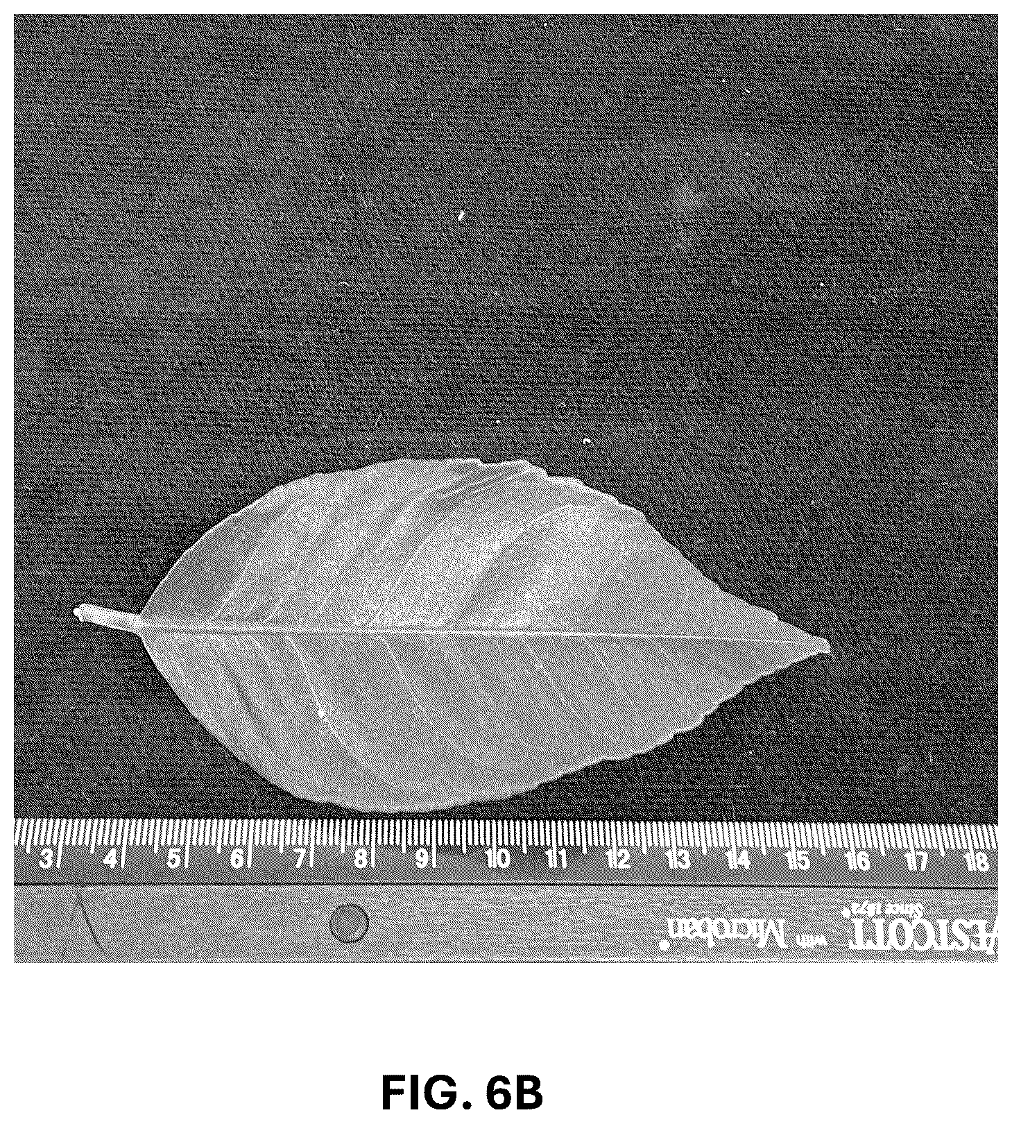 Patent USPP036742 Figure 20 – Lemon plant named ‘CE-D5-1-9-42’