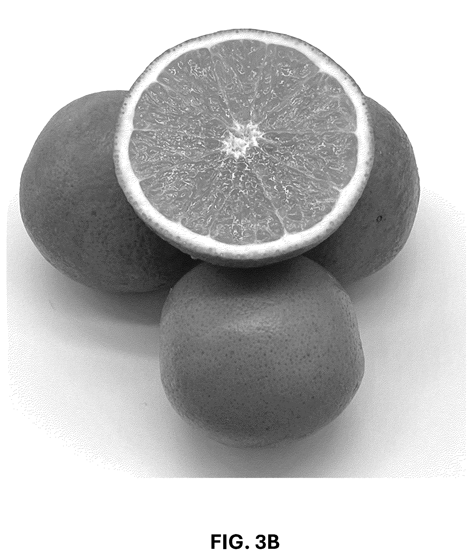 Patent USPP036743 Figure 9 – Citrus plant named ‘UF 1859’