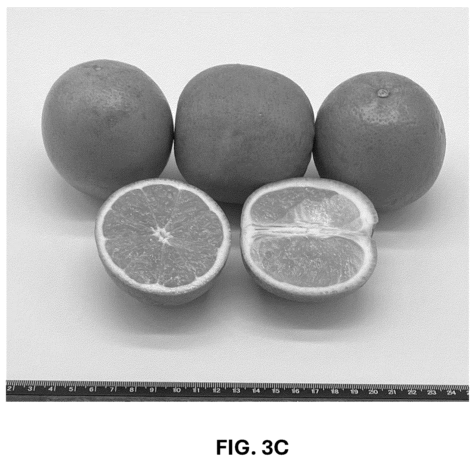 Patent USPP036743 Figure 10 – Citrus plant named ‘UF 1859’