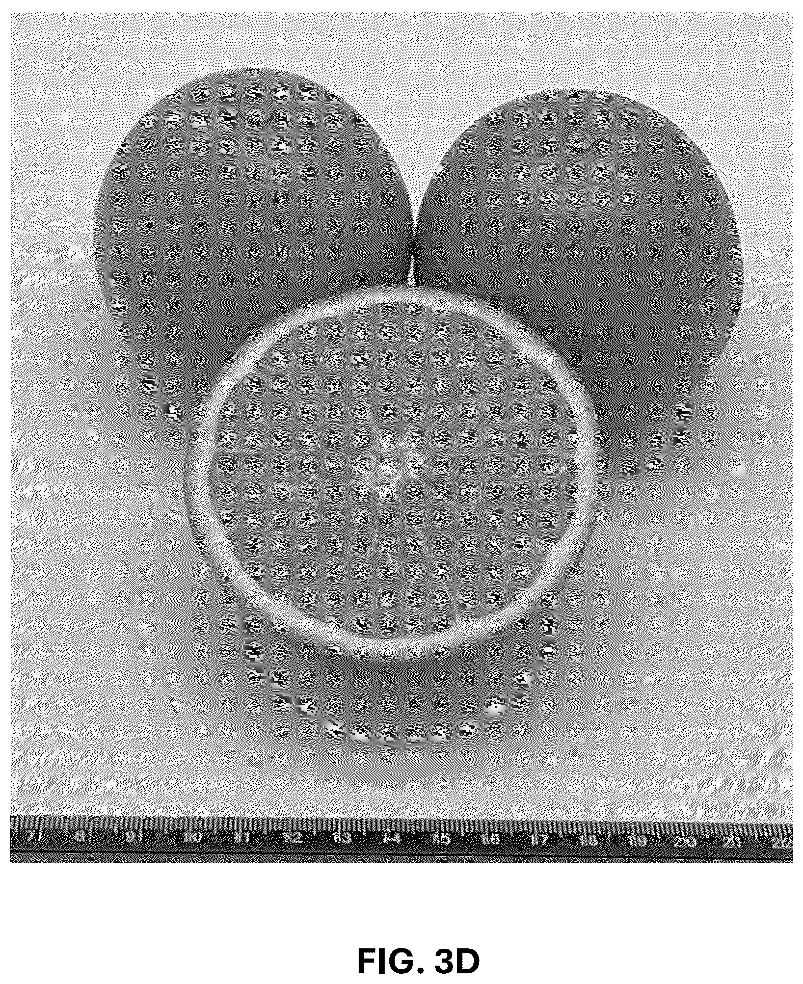 Patent USPP036743 Figure 11 – Citrus plant named ‘UF 1859’