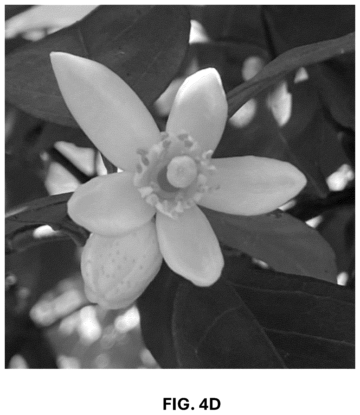 Patent USPP036743 Figure 15 – Citrus plant named ‘UF 1859’