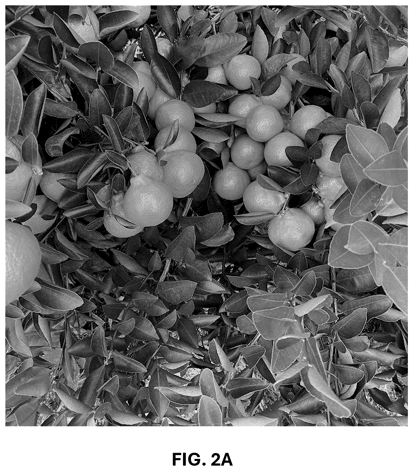 Patent USPP036744 Figure 4 – Mandarin plant named ‘RES 19-56’