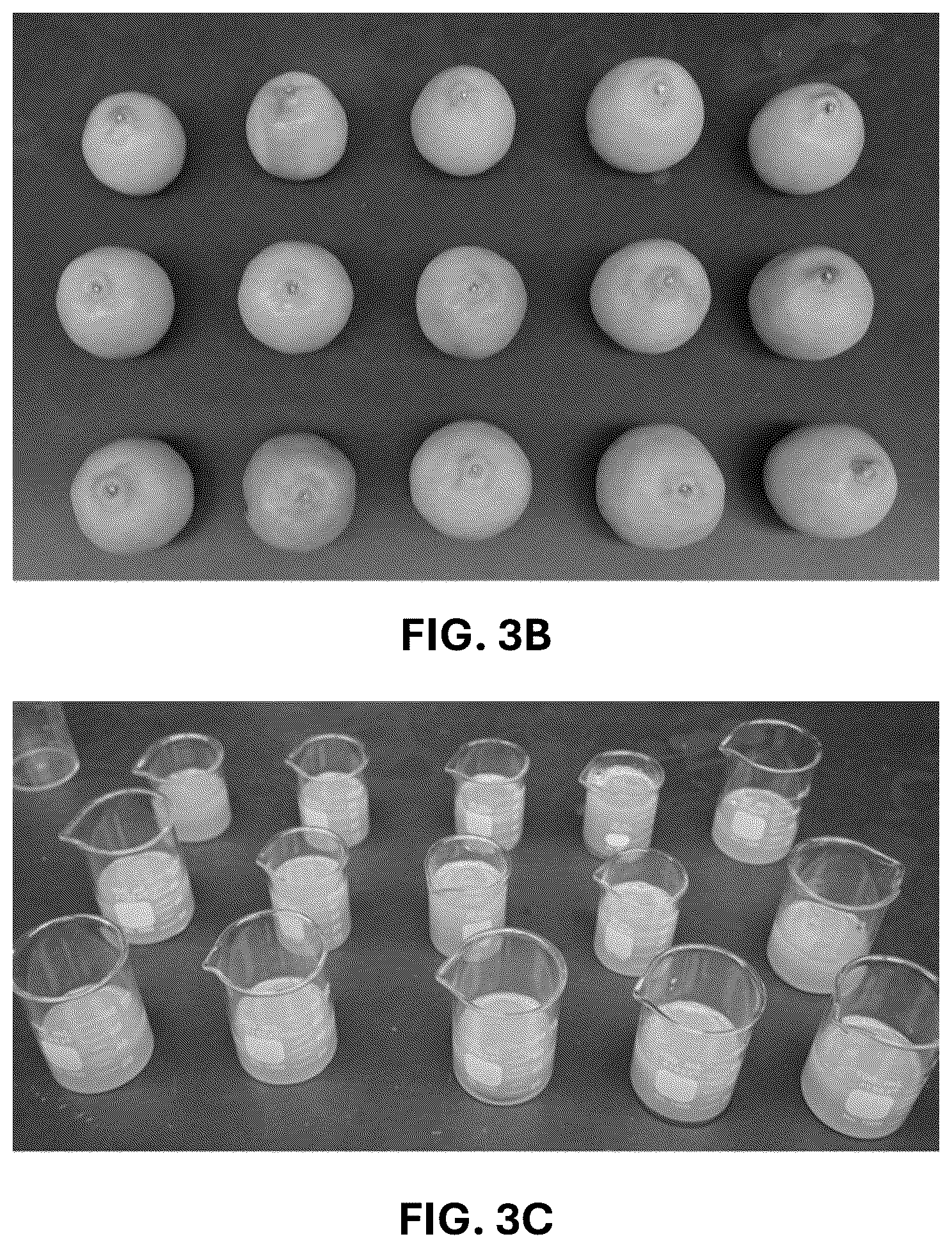 Patent USPP036744 Figure 8 – Mandarin plant named ‘RES 19-56’