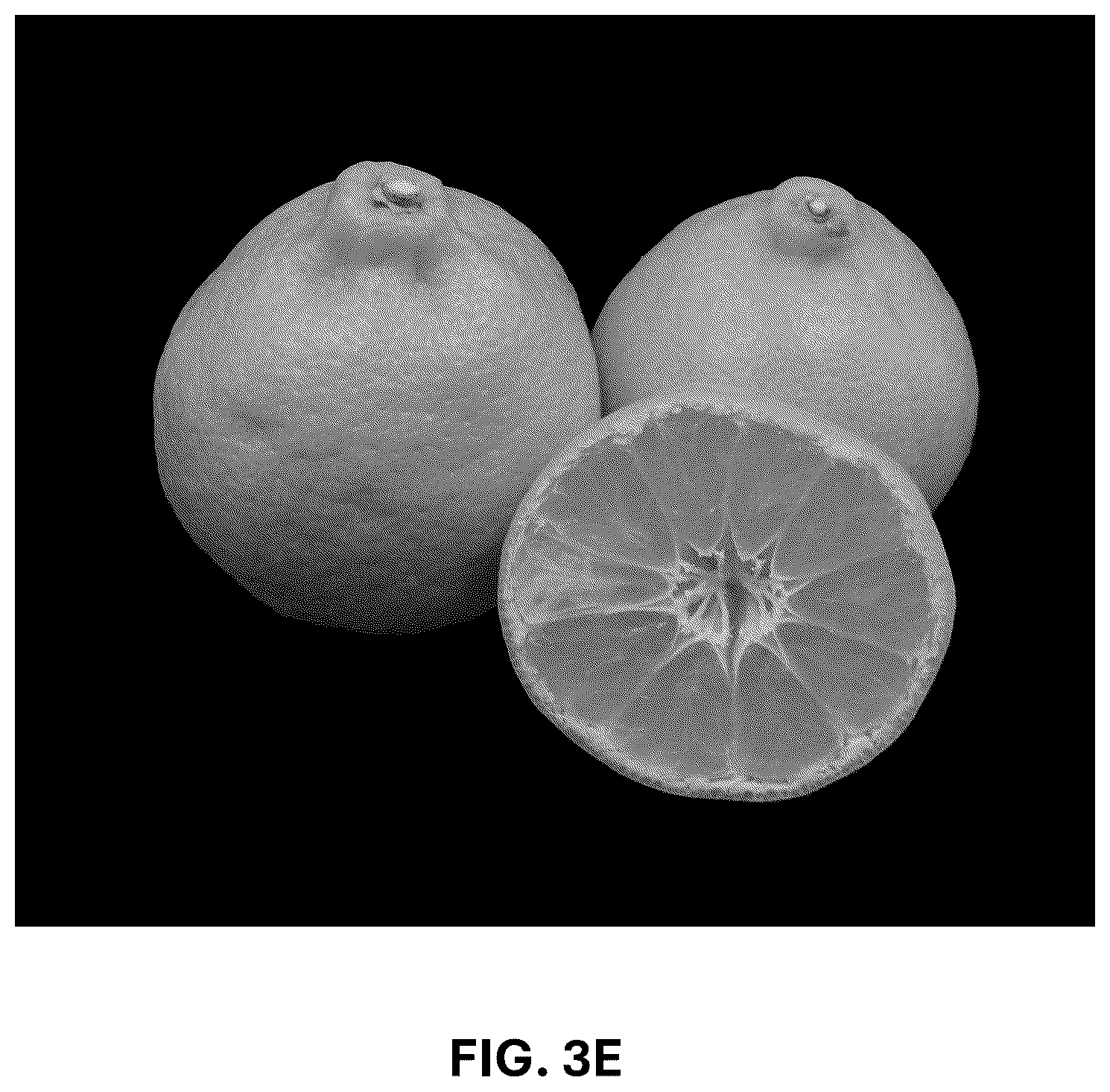 Patent USPP036744 Figure 10 – Mandarin plant named ‘RES 19-56’
