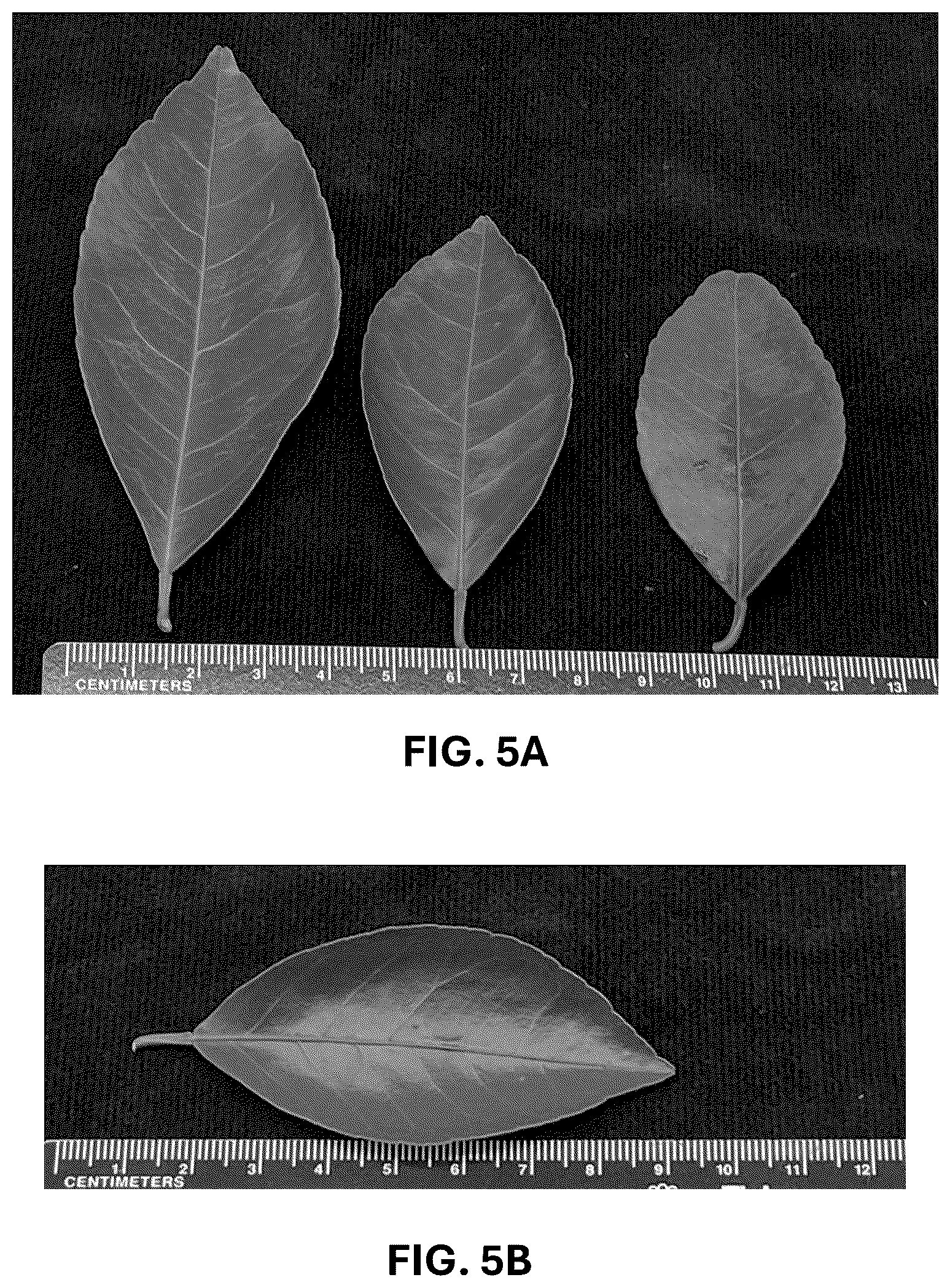 Patent USPP036744 Figure 15 – Mandarin plant named ‘RES 19-56’