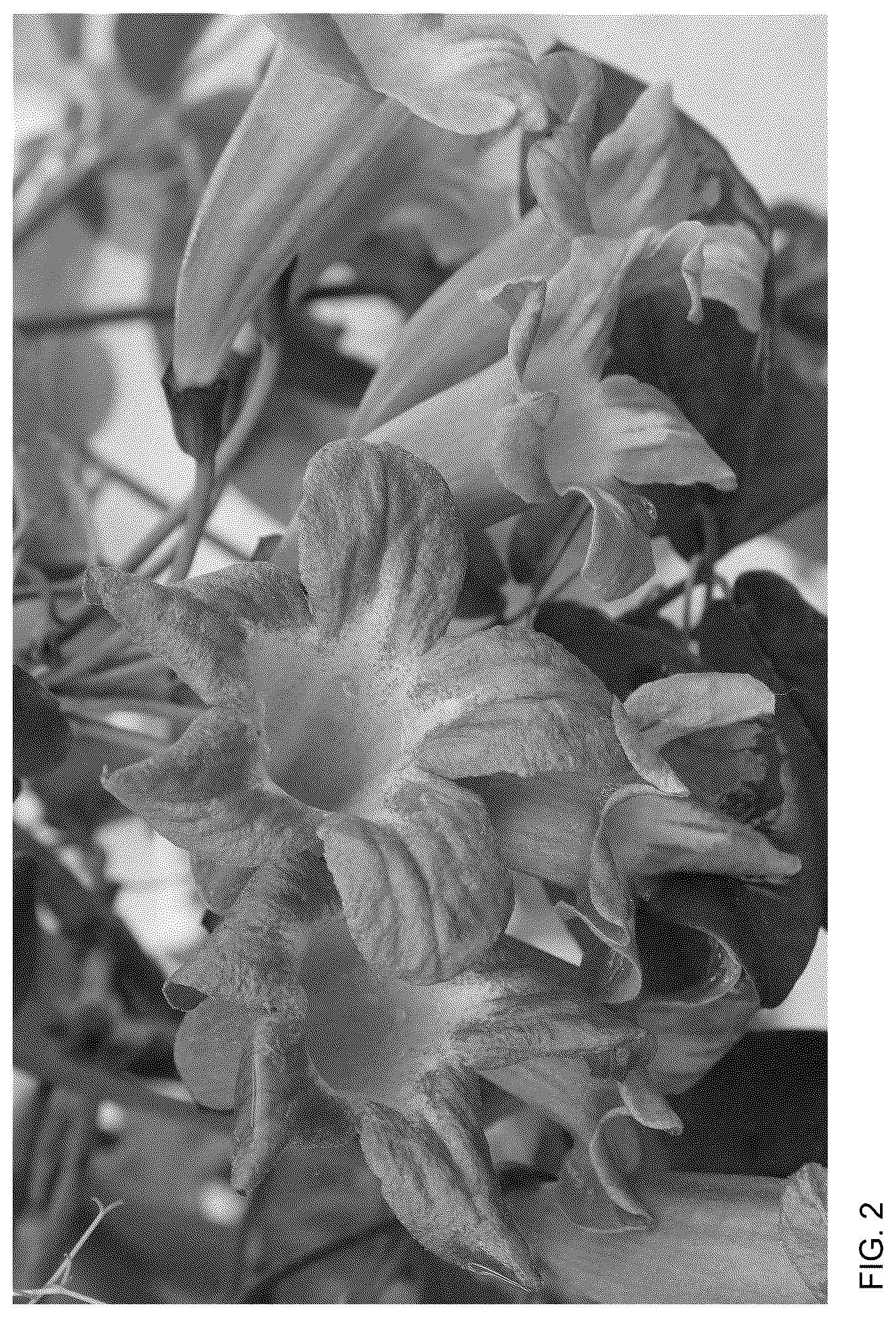 Patent USPP036747 Figure 2 – Bignonia plant named ‘SMNBFW’