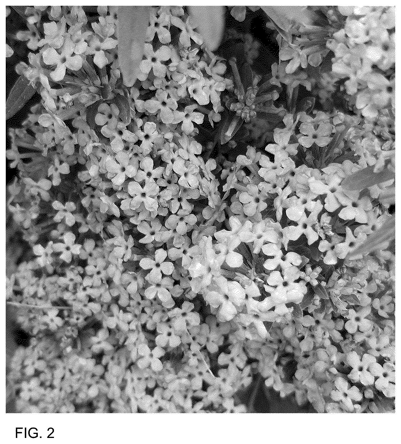 Patent USPP036748 Figure 2 – Buddleia plant named ‘SMNBAB’