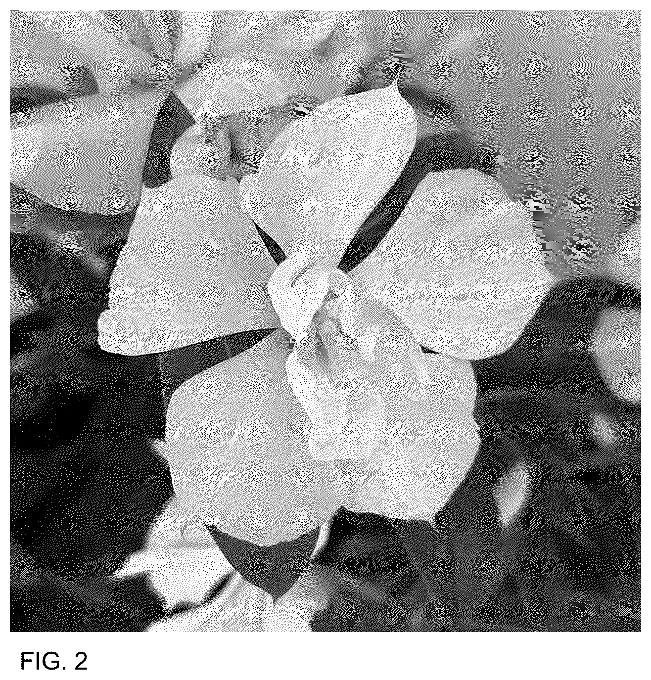 Patent USPP036763 Figure 2 – Catharanthus plant named ‘Suncath 801’