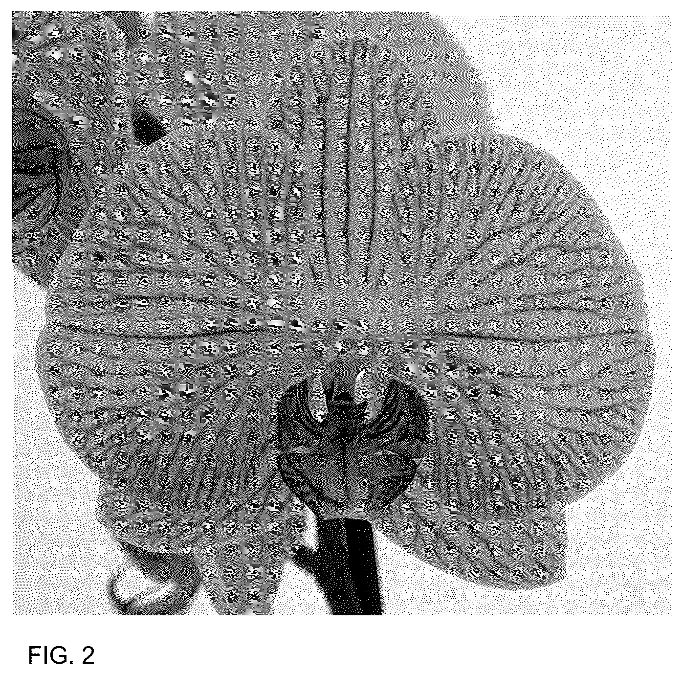 Patent USPP036765 Figure 2 – Phalaenopsis plant named ‘Ceremony’