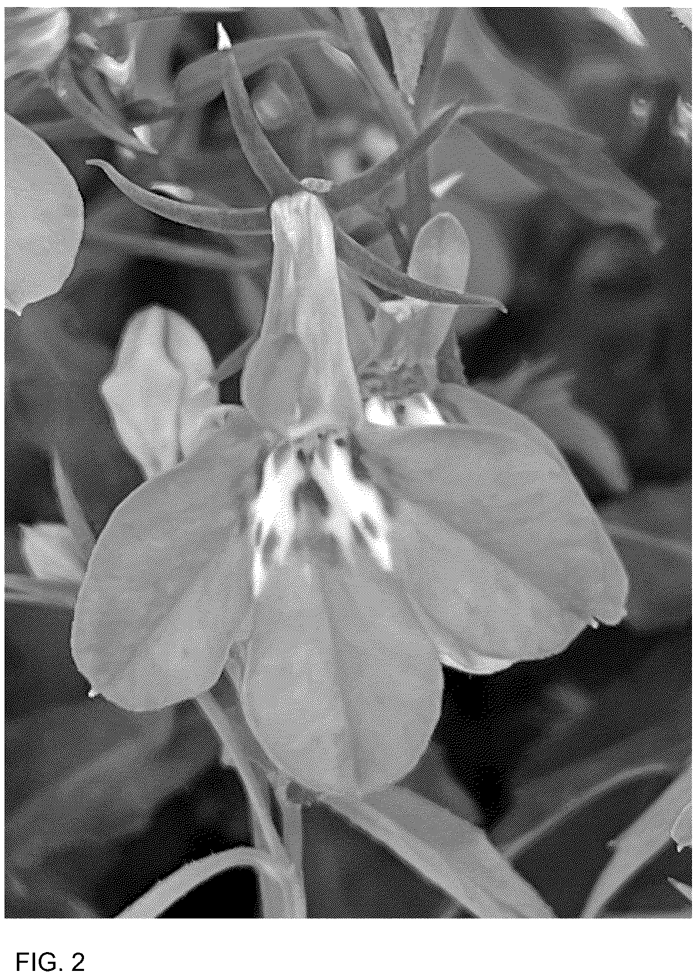Patent USPP036775 Figure 2 – Lobelia plant named ‘WNLOBLRA26’