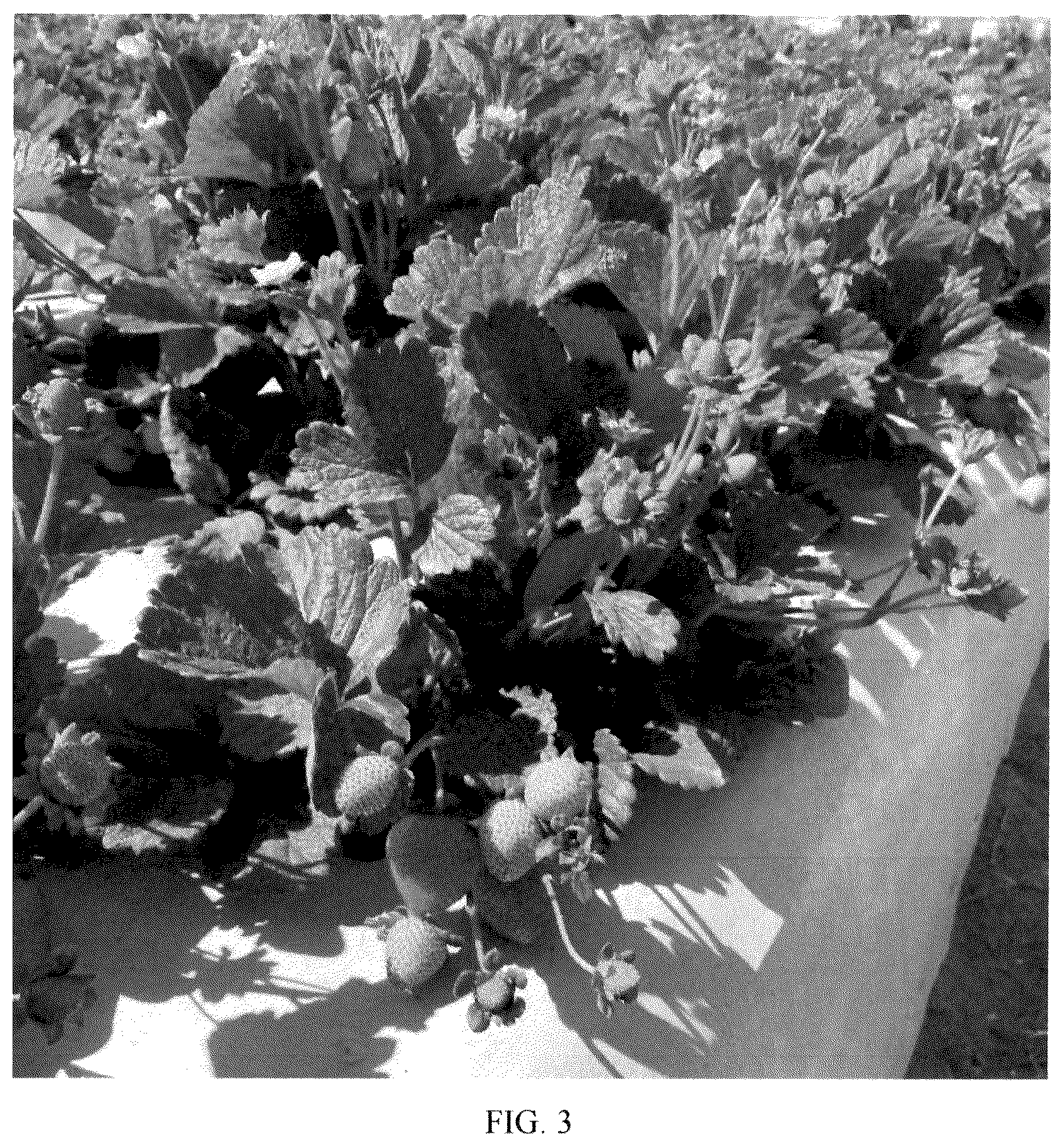Patent USPP036783 Figure 3 – Strawberry plant named ‘Plared 19140’