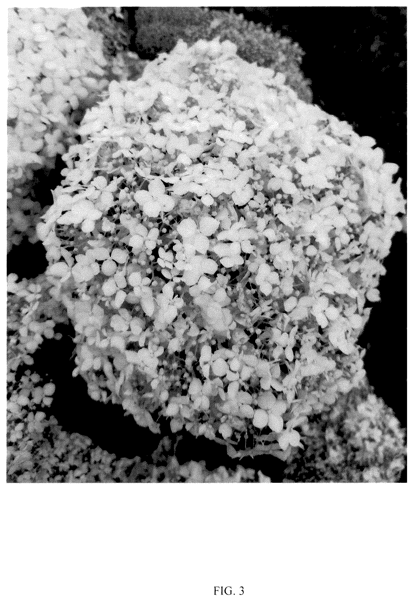 Patent USPP036788 Figure 3 – Hydrangea plant named ‘SMNHAGOV’