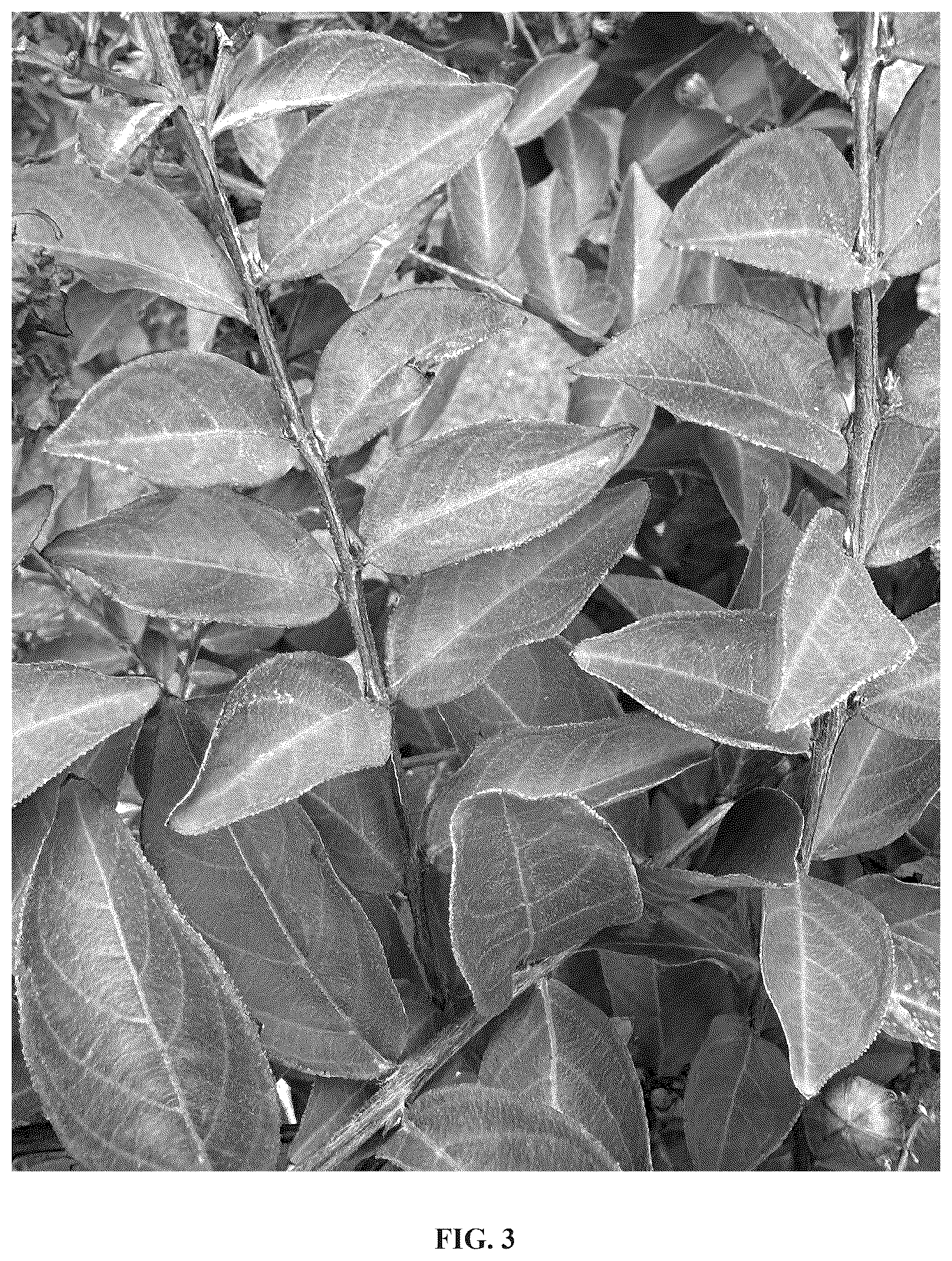 Patent USPP036789 Figure 3 – Lagerstroemia plant named ‘GV16103’