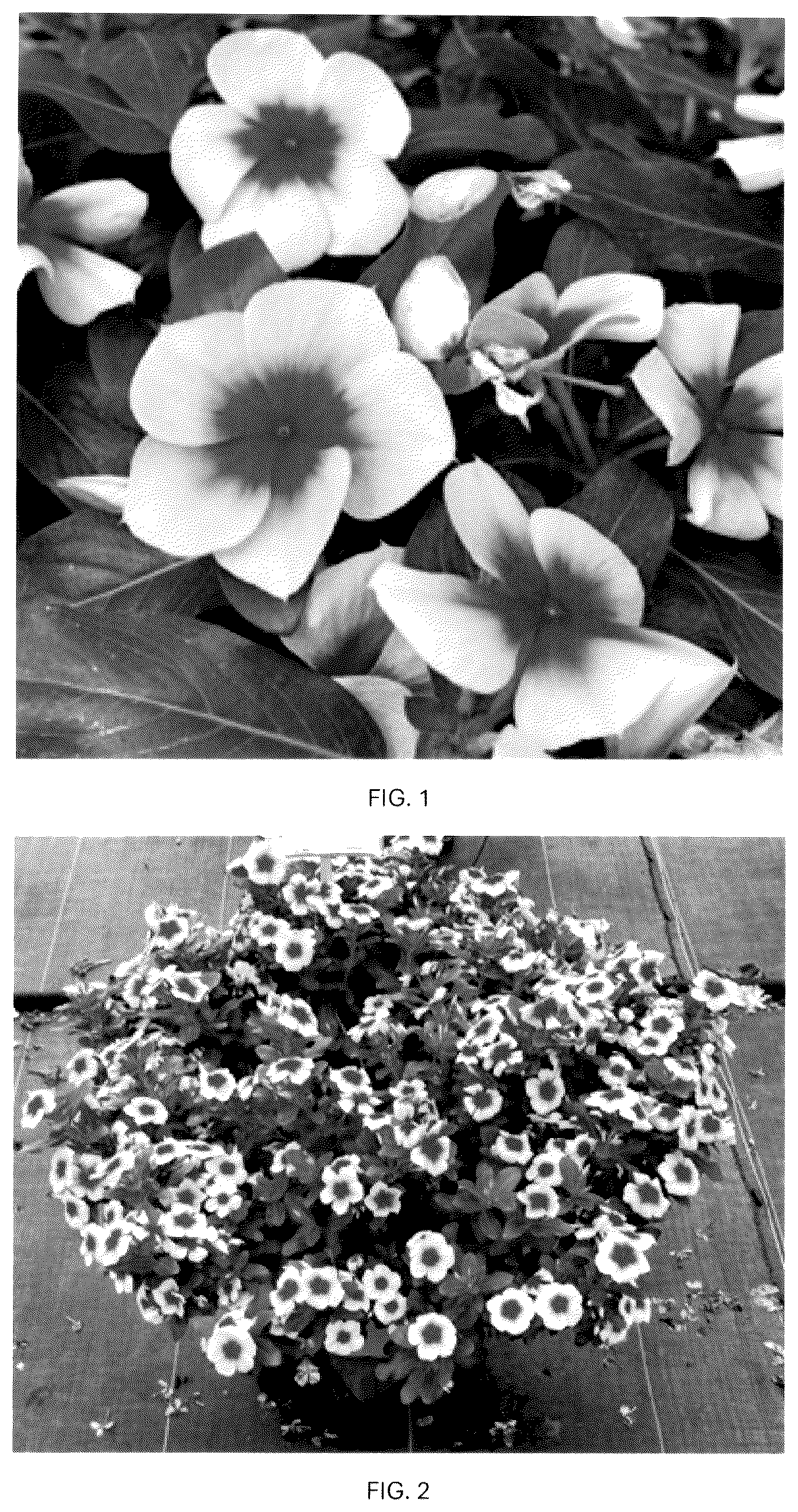 Patent USPP036791 Figure 1 – Catharanthus plant named ‘CARZ0004’