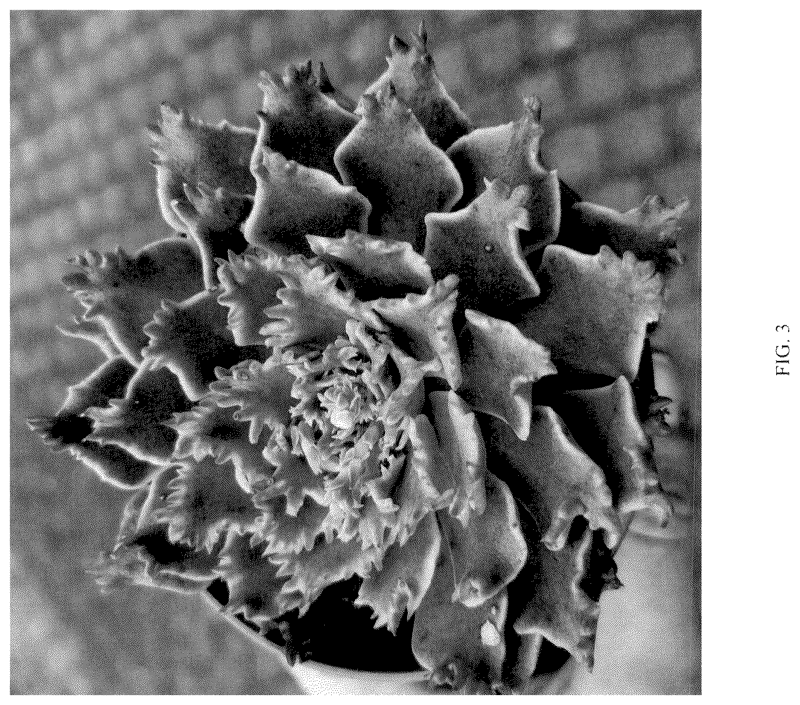 Patent USPP036795 Figure 3 – Graptoveria plant named ‘STARFIRE’