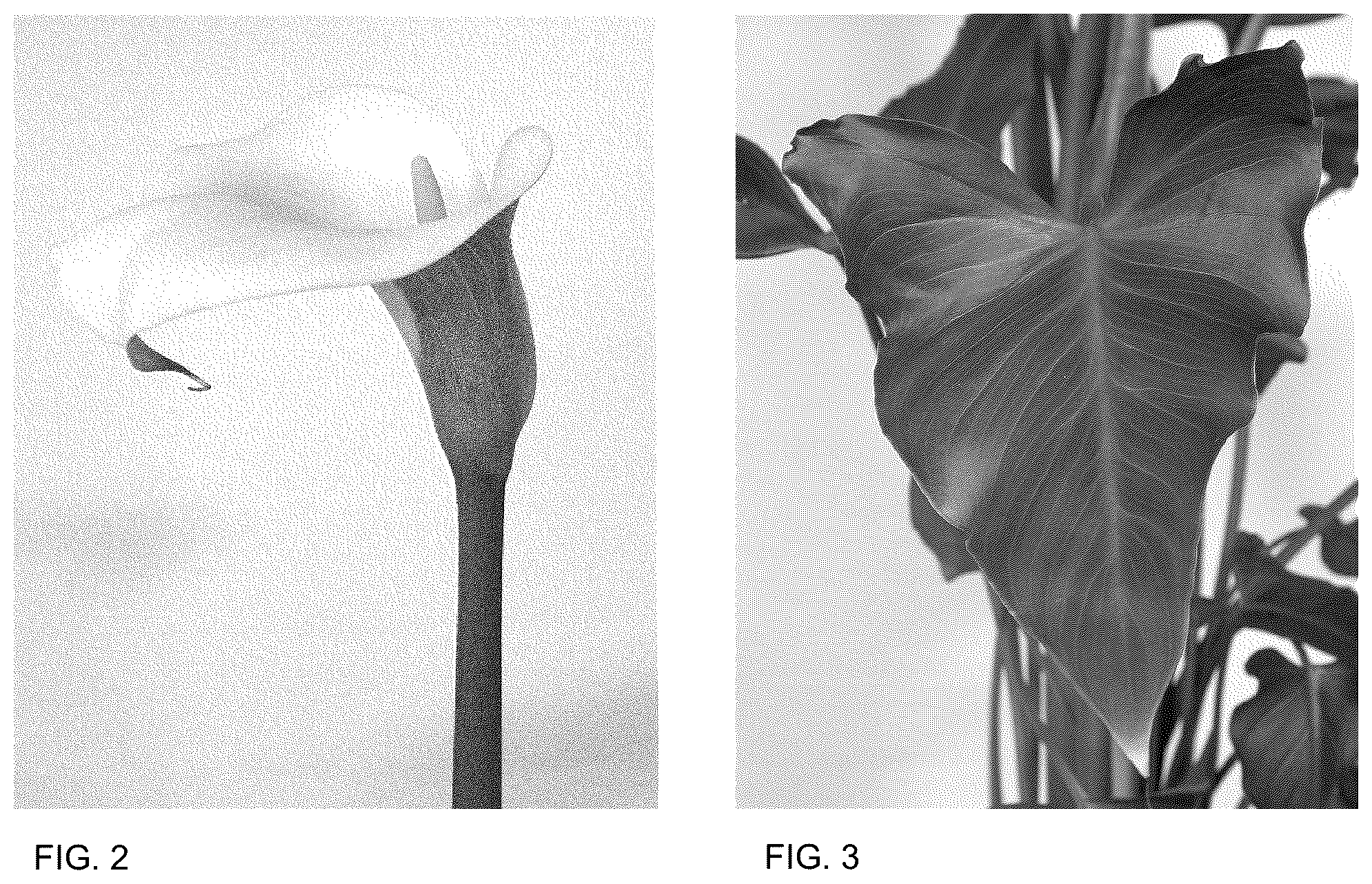 Patent USPP036804 Figure 2 – Zantedeschia plant named ‘DO21PW104’